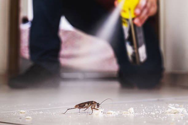 Best Affordable Pest Control Services  in New Richmond, OH