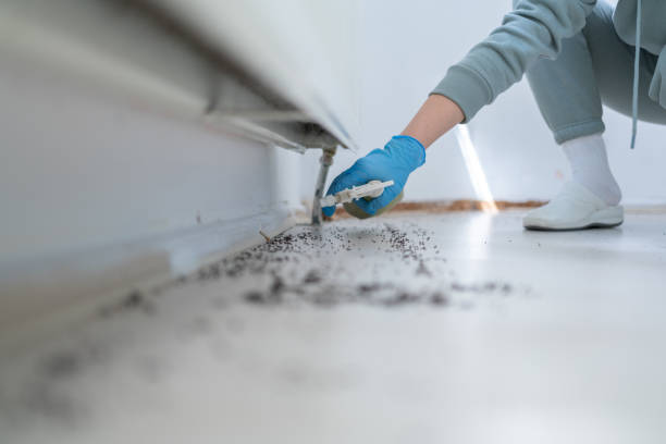 Best Commercial Pest Control Services  in New Richmond, OH